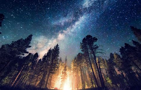 Long Exposure Starry Night Milky Way Galaxy Nature Camping Forest