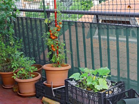 Balcony Vegetable Garden Growing A Vegetable Garden On A Balcony