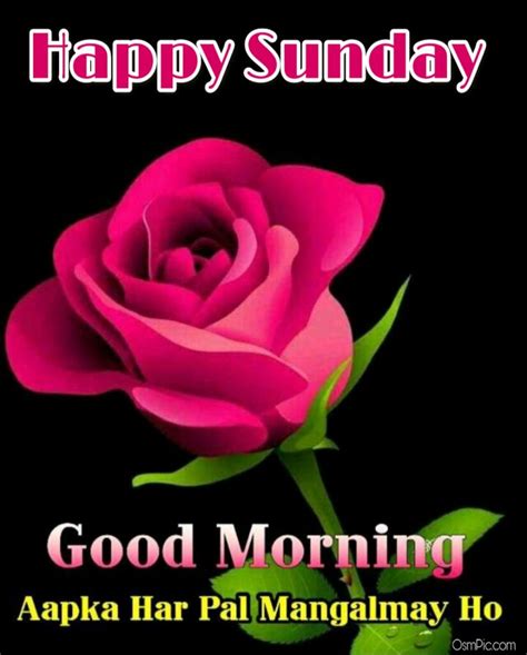 Top 999 Good Morning Happy Sunday Hd Images Amazing Collection Good