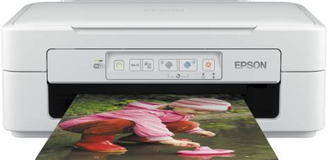 Epson software updater installs additional software. Support & Downloads - Expression Home XP-247 - Epson
