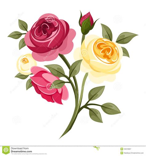 Colorful Roses Stock Vector Illustration Of Design 34516667