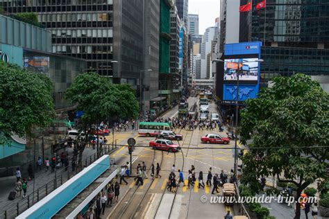 Lugares para ver, formas de recorrer y experiencias destacadas que definen hong kong. Deux backpackers perdus dans le centre-ville de Hong-kong