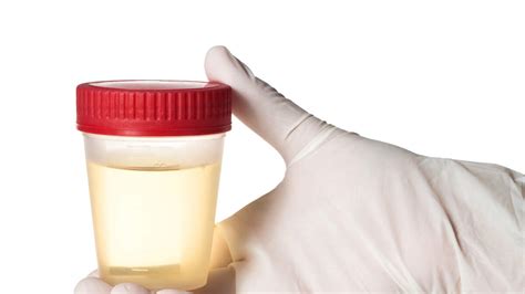drinking urine is the latest health craze the bobby bones show the bobby bones show