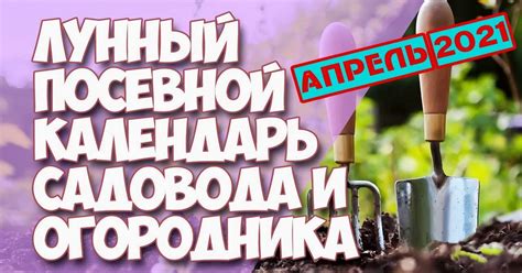 Лунный посевной календарь на апрель 2021 года для садовода и огородника