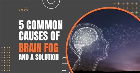5 Common Causes Of Brain Fog And A Solution Cellg8