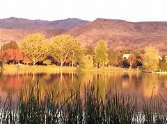 Boise Craigslist Your Guide To Finding Local Services And Professionals