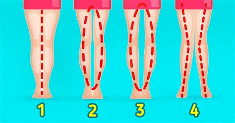 How To Know Your Leg Shape 5 Minute Crafts