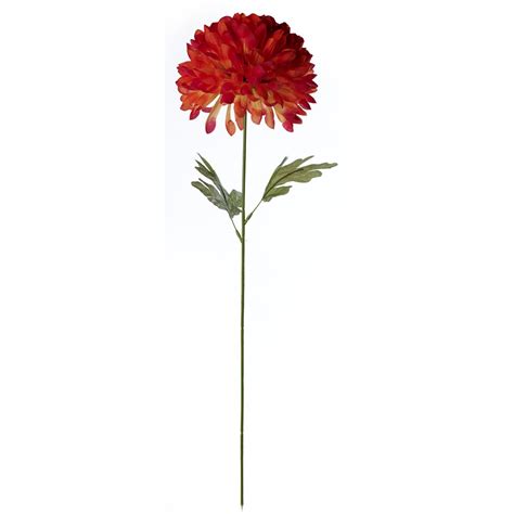 Flower stalk used as a noun is very rare. Orange flowers tall stems clipart 20 free Cliparts ...
