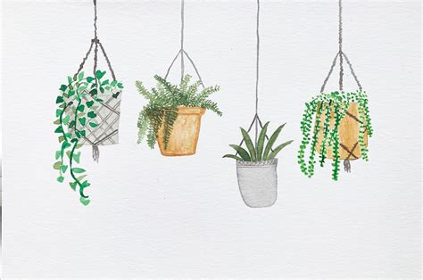 Hanging Plants Dont Leave Me Hanging Plant Drawing Flower Drawing