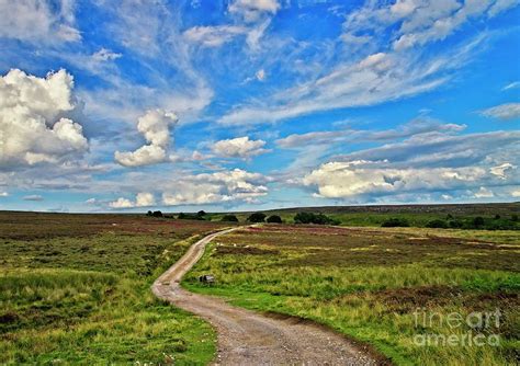 Yorkshire Moors Landscape Photograph By Martyn Arnold Pixels