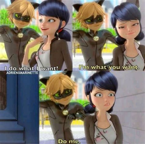 Im Dead Miraculous Ladybug Movie Miraculous Ladybug Mem