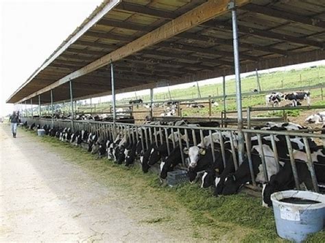 Ea O Ka Aina Hawaii Dairy Farm Permits Revoked