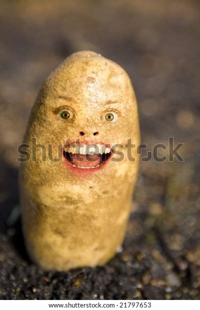 Potato Head Face Stock Photo Edit Now 21797653