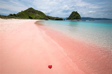 Pink Beach Komodo Island Indonesias Famous Pink Sand Beaches