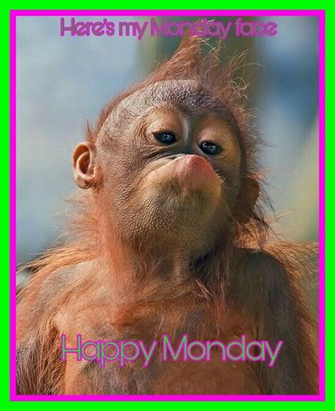 80 Best Happy Monday Images On Pinterest