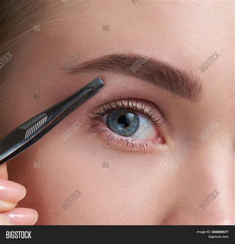Eyebrows Care Closeup Image And Photo Free Trial Bigstock