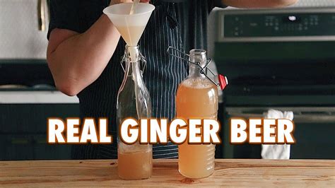 3 Ingredient Homemade Fermented Ginger Beer Brew Insight