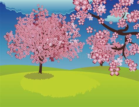 Blooming Sakura Tree On Lawn Stock Vector Illustration Of Natural