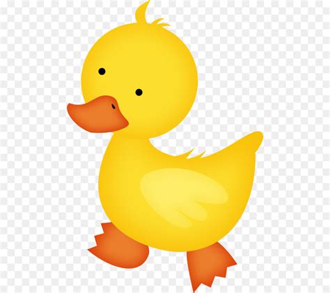 Library Of Baby Duck Animals Png Royalty Free Png Files