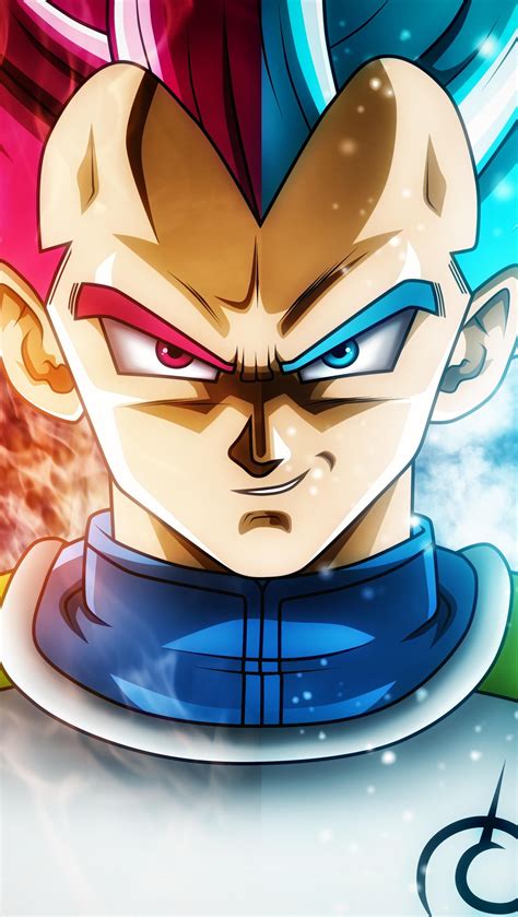 Vegeta Saiyan Blue Y Saiyan God Dragon Ball Super Anime Fondo De