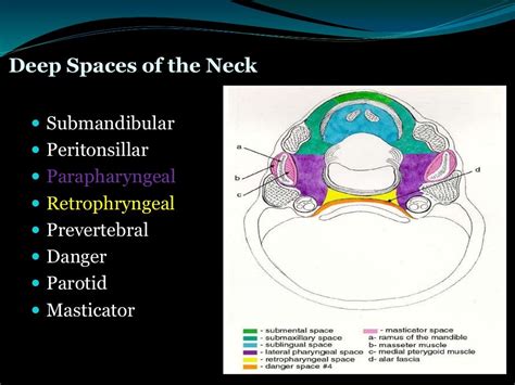 Surgical Treatment Of Paraphyrngeal And Retropharyngeal Abscesses