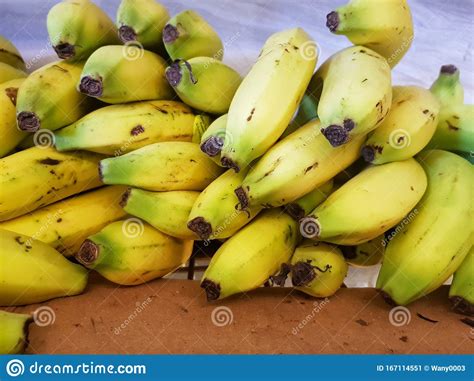 Bananas For Sale Stock Image Image Of Sold Fresh Business 167114551