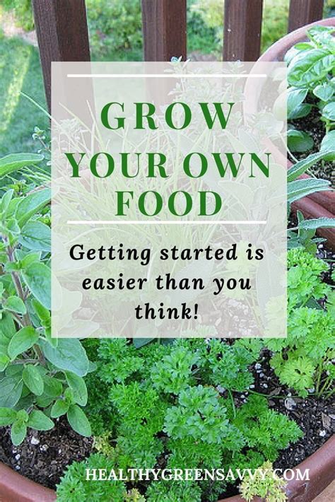 Growing Your Own Food Is Easier Than You Think Grow Your Own Food Gardening For Beginners