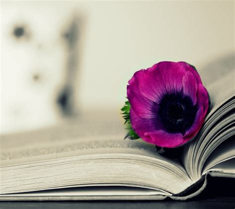 Purple Flower On Open Book Wallpaper For Lenovo Ideaphone P770