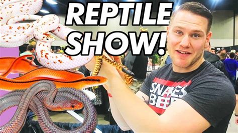 Best Reptile Show Ever Narbc Arlington Youtube