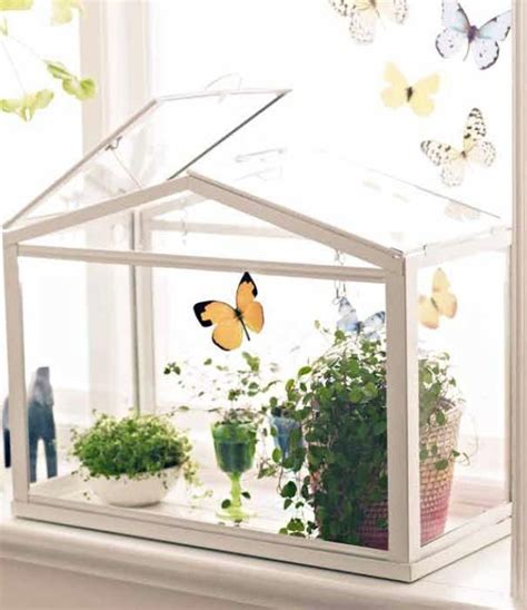 Inspiración para decorar tu casa con cactus. Ideas y macetas para nuestros cactus: ¡Potencia su belleza ...