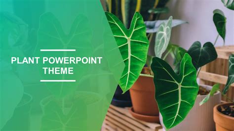 Top 86 Imagen Powerpoint Background Plants Vn