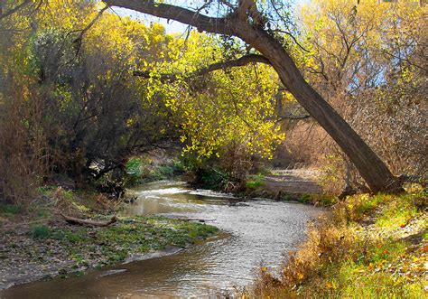 Santa Cruz River Near Tumacácori Arizona Bob Russman