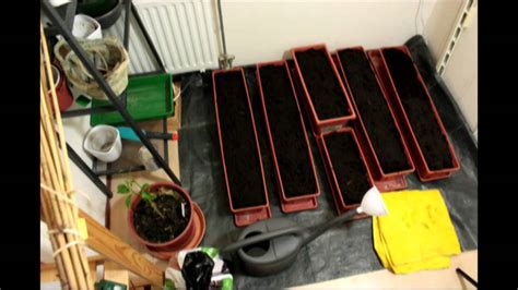 You'll want to assess many vegetables can be grown out of containers in your apartment. Indoor Greenhouse (or room) assembly - A Vegetable Garden ...