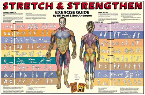 pin by mg guillory on pump workout guide workout posters core muscle exercises