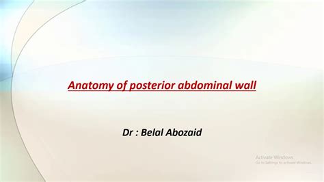 Anatomy Of Posterior Abdominal Wall Youtube