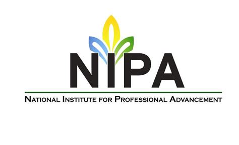 Nipa Launches Its New Logo And Website Information