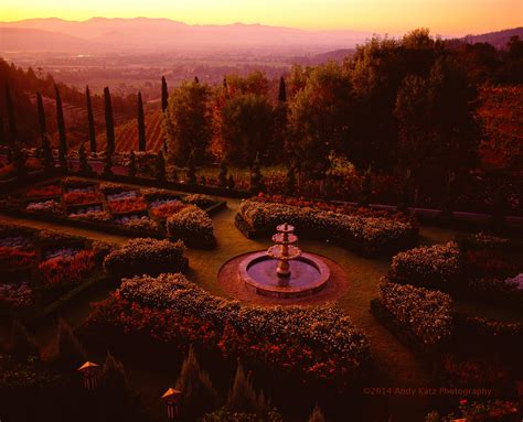 Vinography Images Tuscan Garden Vinography