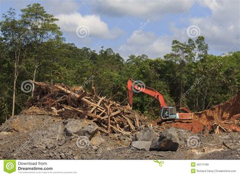 Malaysian environmental law at this conference today, in the light of this quiet anniversary. Deforestation Environmental Problem Editorial Stock Image ...