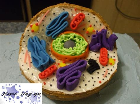 Maybe you would like to learn more about one of these? Animal Cell Model Project | Kids | Pinterest | Edible ...