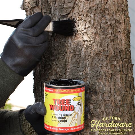 Tanglefoot Tree Wound Pruning Sealer And Grafting Compound 16 Oz