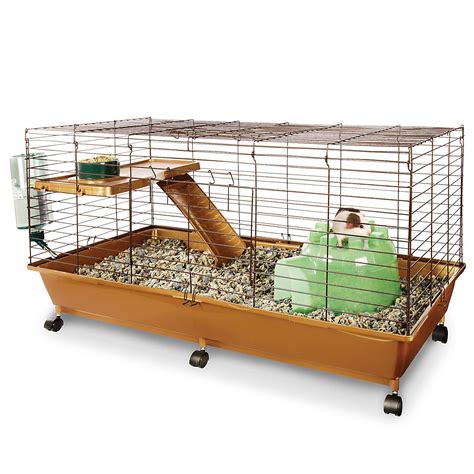 Guinea Pig Cages Petco