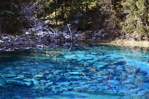 109 Five Color Pond Jiuzhaigou Sichuan China Photos Free And Royalty