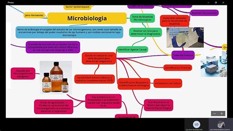 Mapa Mental Micoses Microbiologia Images And Photos Finder