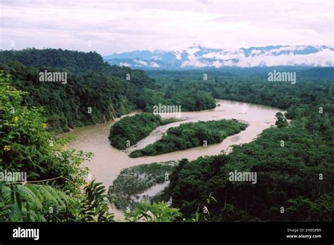 Tributary Of Napo River Ecuador Hi Res Stock Photography And Images Alamy