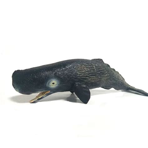 Zxz Sea Life Sperm Whale Simulation Animal Model Action Toy Figures
