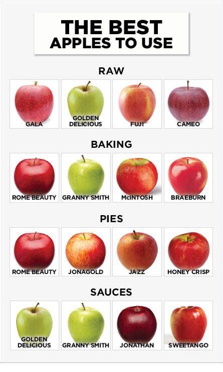 The Best Apples To Use R Coolguides