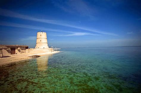 Al Dar Islands Bahrain Manama Address Phone Number Reviews