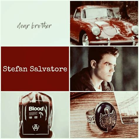 Stefan Salvatore Aesthetic Vampire Diaries Vampire Diaries Stefan