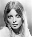 Sharon Tate - Celebrity biography, zodiac sign and famous quotes