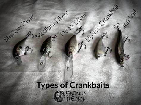 Crankbait For Bass The Ultimate Guide To Catch More Bass